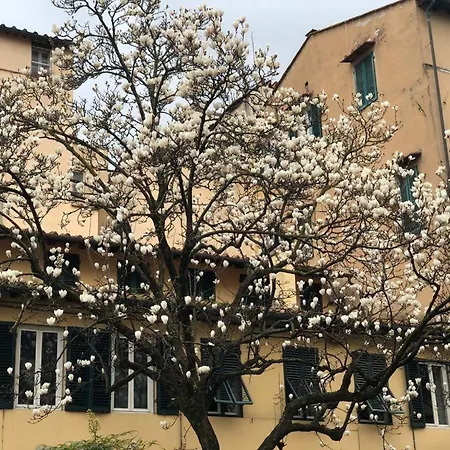 Appartement San Pietro *