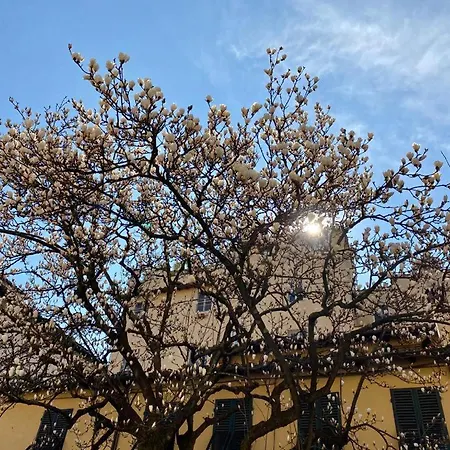 San Pietro شقة