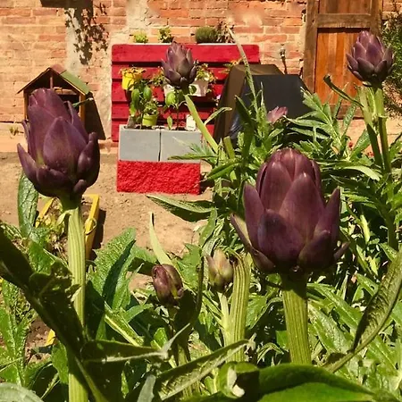 Casa Martina *
